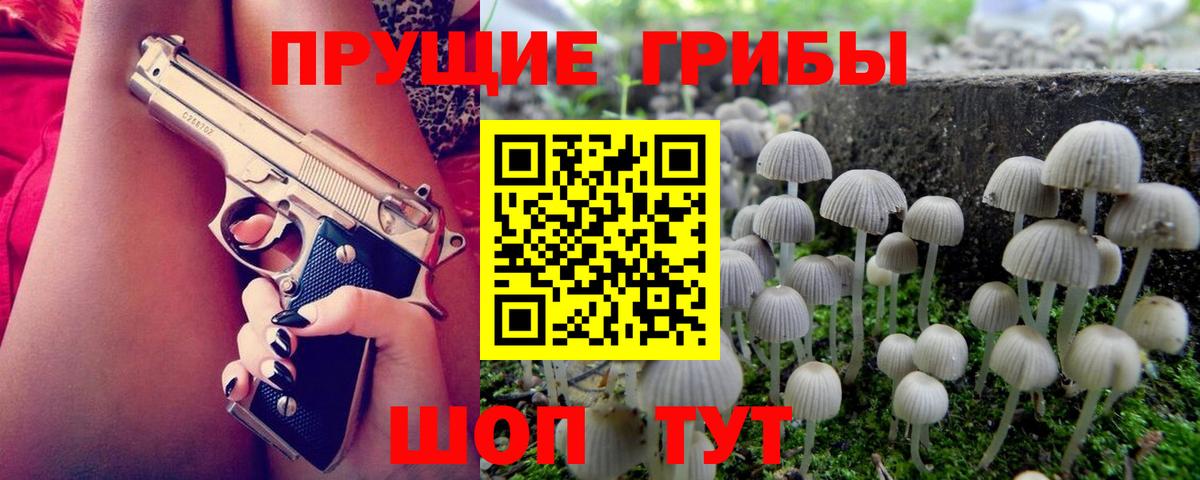 Галлюциногенные грибы прущие грибы  даркнет сайт  Буйнакск  Вход с VPN 